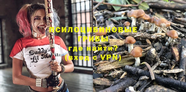 гашик Армянск